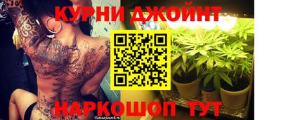 хмурый Кингисепп