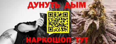 хмурый Кингисепп