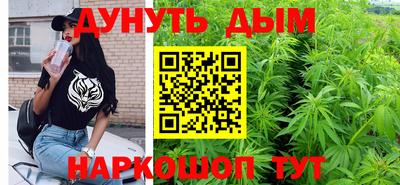 хмурый Кингисепп