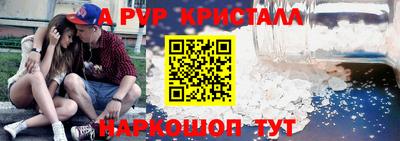 хмурый Кингисепп
